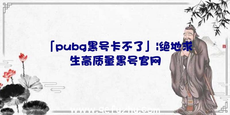 「pubg黑号卡不了」|绝地求生高质量黑号官网